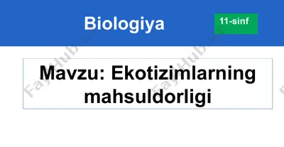 ekotizimlarning mahsuldorligi — PPTX