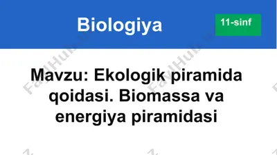 ekologik piramida qoidasi. biomassa va energiya piramidasi — PPTX