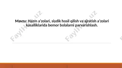 hazm a’zolari, siydik hosil qilish va ajratish a’zolari kasalliklarida bemor bolalarni parvarishlash — PPTX