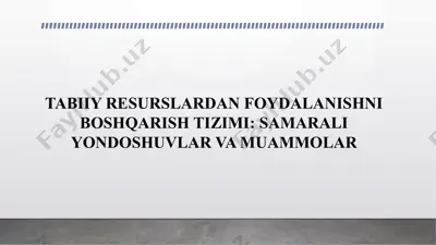 tabiiy resurslardan foydalanishni boshqarish tizimi: samarali yondoshuvlar va muamolar — PPTX