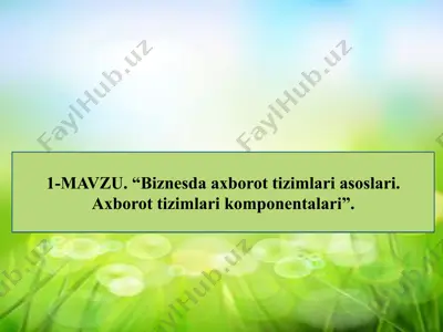 biznesda axborot tizimlari asoslari — PPTX