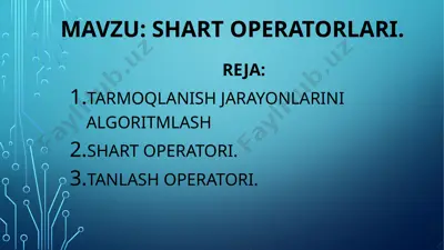 shart operatorlari — PPTX