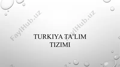 turkiya ta’lim tizimi — PPTX