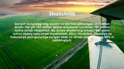 sholichilik — PPTX