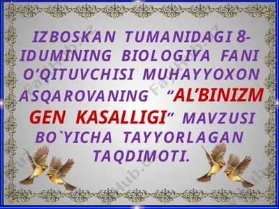 "al’binizm gen kasalligi" — PPTX