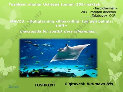 dars ishlanmasi "baliqlarning xilma-xilligi: tog’ayli baliqlar sinfi" — PPTX