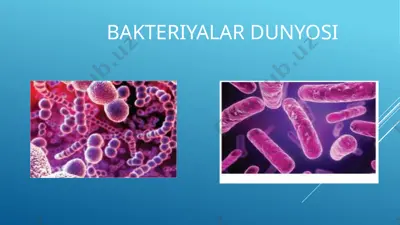 bakteriyalar dunyosi — PPTX