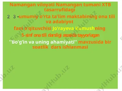 ''bo‘g‘in va uning ahamiyati'' mavzusida bir soatlik dars ishlanmasi — PPTX