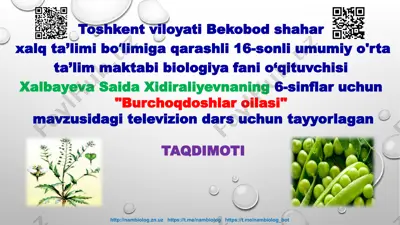 "burchoqdoshlar oilasi" mavzusidagi televizion dars — PPTX