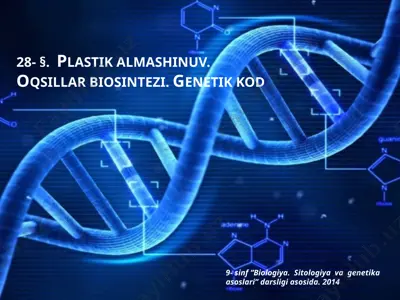 plastik almashinuv. oqsillar biosintezi. genetik kod — PPTX
