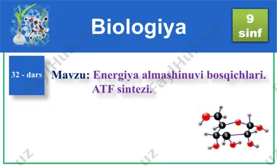energiya almashinuvi bosqichlari — PPTX