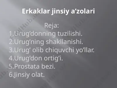 erkaklar jinsiy a’zolari — PPTX