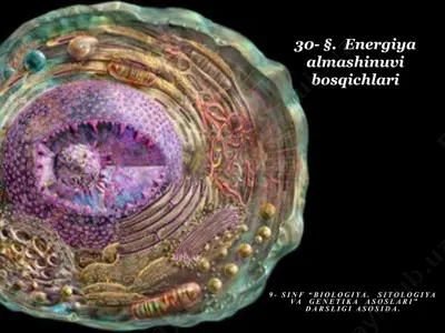 energiya almashinuvi bosqichlari — PPTX