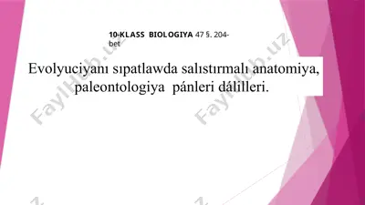 evolyutsiyada salistirmali anatomiya — PPTX