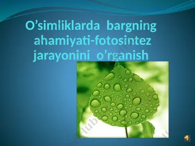 o’simliklarda bargning ahamiyati-fotosintez jarayonini o’rganish — PPTX