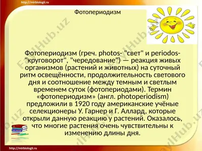 фотопериодизм — PPTX
