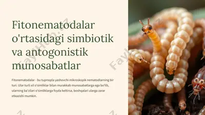 fitonematodalar o'rtasidagi simbiotik va antogonistik munosabatlar — PPTX