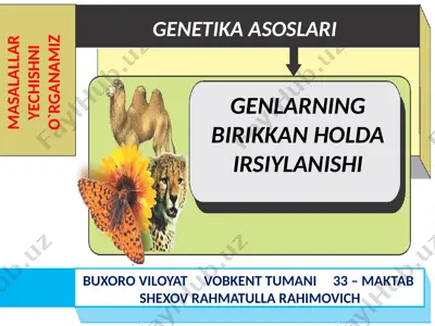 genetika asoslari — PPTX