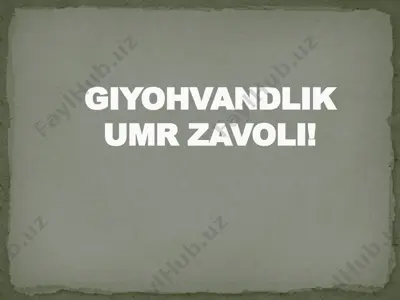 giyohvandlik umr zavoli — PPTX