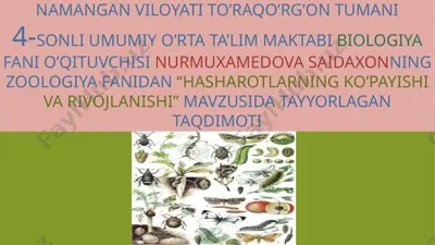 hasharotlarning ko’payishi va rivojlanishi taqdimoti — PPTX
