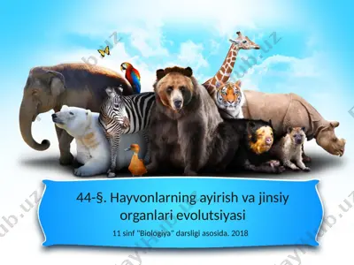 hayvonlarning ayirish va jinsiy organlari evolutsiyasi — PPTX