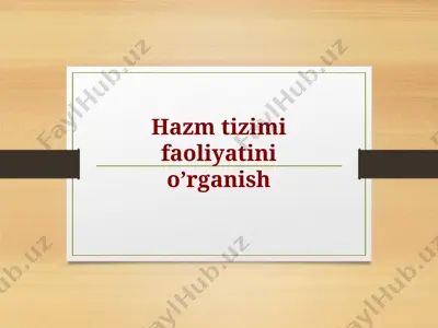 hazm tizimi faoliyatini o’rganish — PPTX