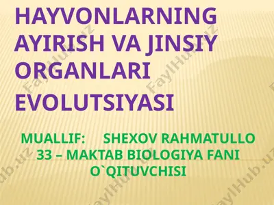 hayvonlarning ayirish va jinsiy organlari evolutsiyasi — PPTX