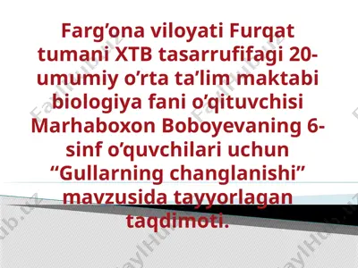 gullarning changlanishi — PPTX