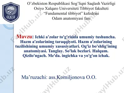 odam anatomiyasi fanidan ma'ruzalar — PPTX