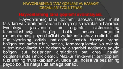 hayvonlarning tana qoplami va harakat organlari evolutsiyasi — PPTX