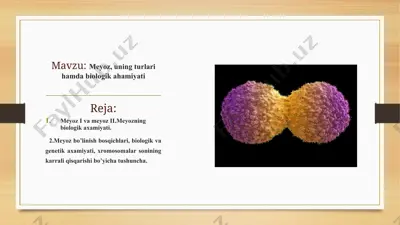 meyoz, uning turlari hamda biologik ahamiyati — PPTX