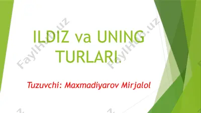 ildiz va uning turlari — PPTX