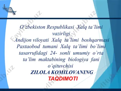 ovqat hazm qilish organlarining tuzilishi va vazifasi — PPTX