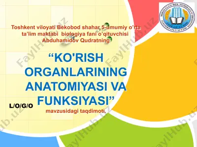 ko'rish organlarining anatomiyasi va funksiyasi — PPTX