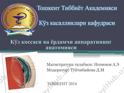 kўz kасаллиklari kаfudrаsi — PPTX