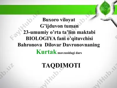 kurtak mavzusidagi biologiya darsi — PPTX