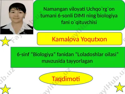 "loladoshlar oilasi taqdimoti" — PPTX