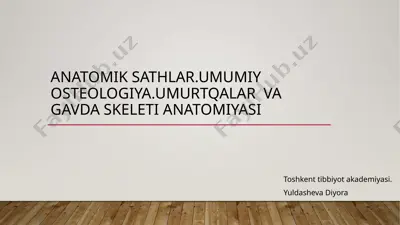 anatomik sathlar.umumiy osteologiya.umurtqalar va gavda skeleti anatomiyasi — PPTX