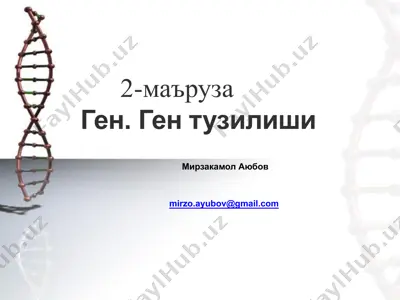 ген. ген тузилиши — PPTX