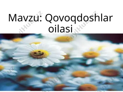 qovoqdoshlar oilasi — PPTX
