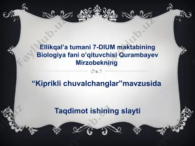kiprikli chuvalchanglar taqdimoti — PPTX