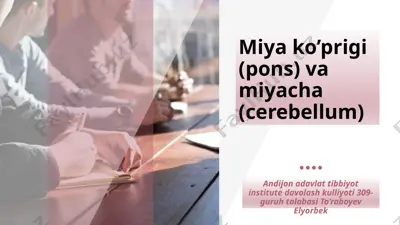 miya ko’prigi (pons) va miyacha (cerebellum) — PPTX