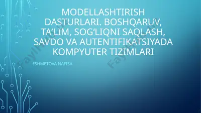modellashtirish dasturlari — PPTX