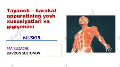 tayanch – harakat apparatining yosh xususiyatlari va gigiyenasi — PPTX
