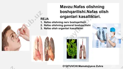 nafas olishning boshqarilishi.nafas olish organlari kasalliklari. — PPTX
