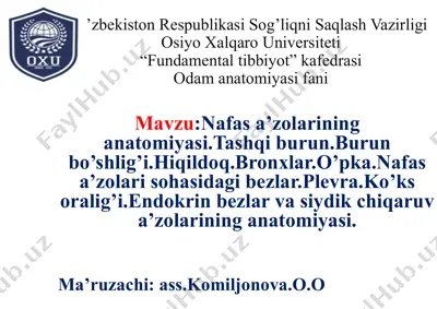 nafas a’zolarining anatomiyasi — PPTX