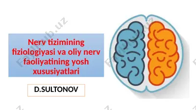 nerv tizimining fiziologiyasi va oliy nerv faoliyatining yosh xususiyatlari — PPTX