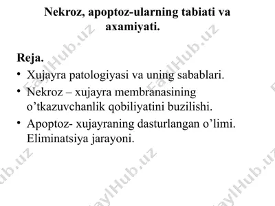 nekroz, apoptoz-ularning tabiati va axamiyati — PPTX