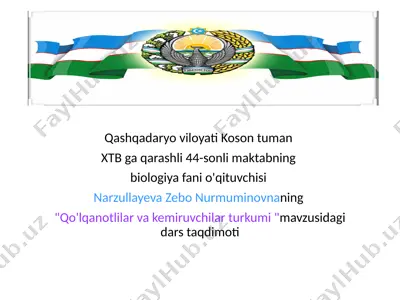 qo'lqanotlilar va kemiruvchilar turkumi mavzusidagi dars taqdimoti — PPTX