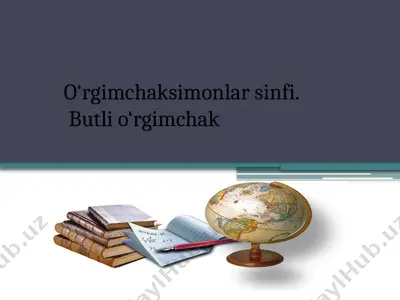 o‘rgimchaksimonlar sinfi — PPTX
